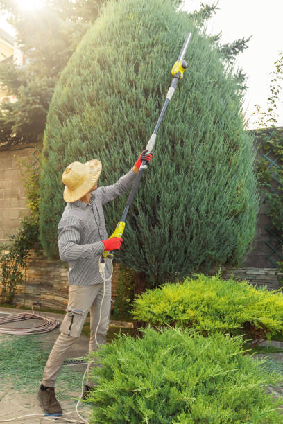 Brookdale, NJ Tree Removal Company